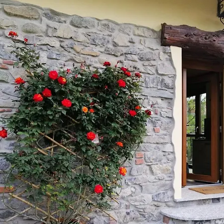 Διαμέρισμα Rose